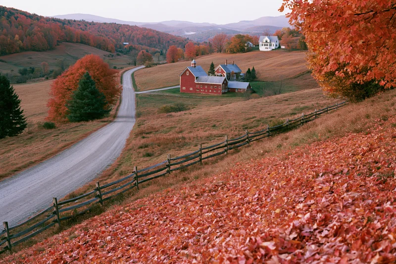 Autumn foliage covers a Vermont hillside farm with red barn and winding gravel road