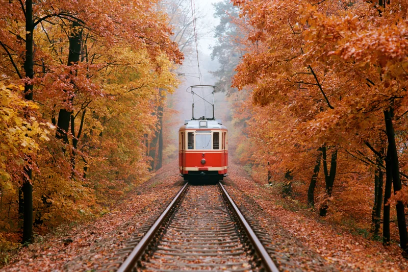 Vintage red-and-cream tram traveling along forest railway tracks in autumn foliage