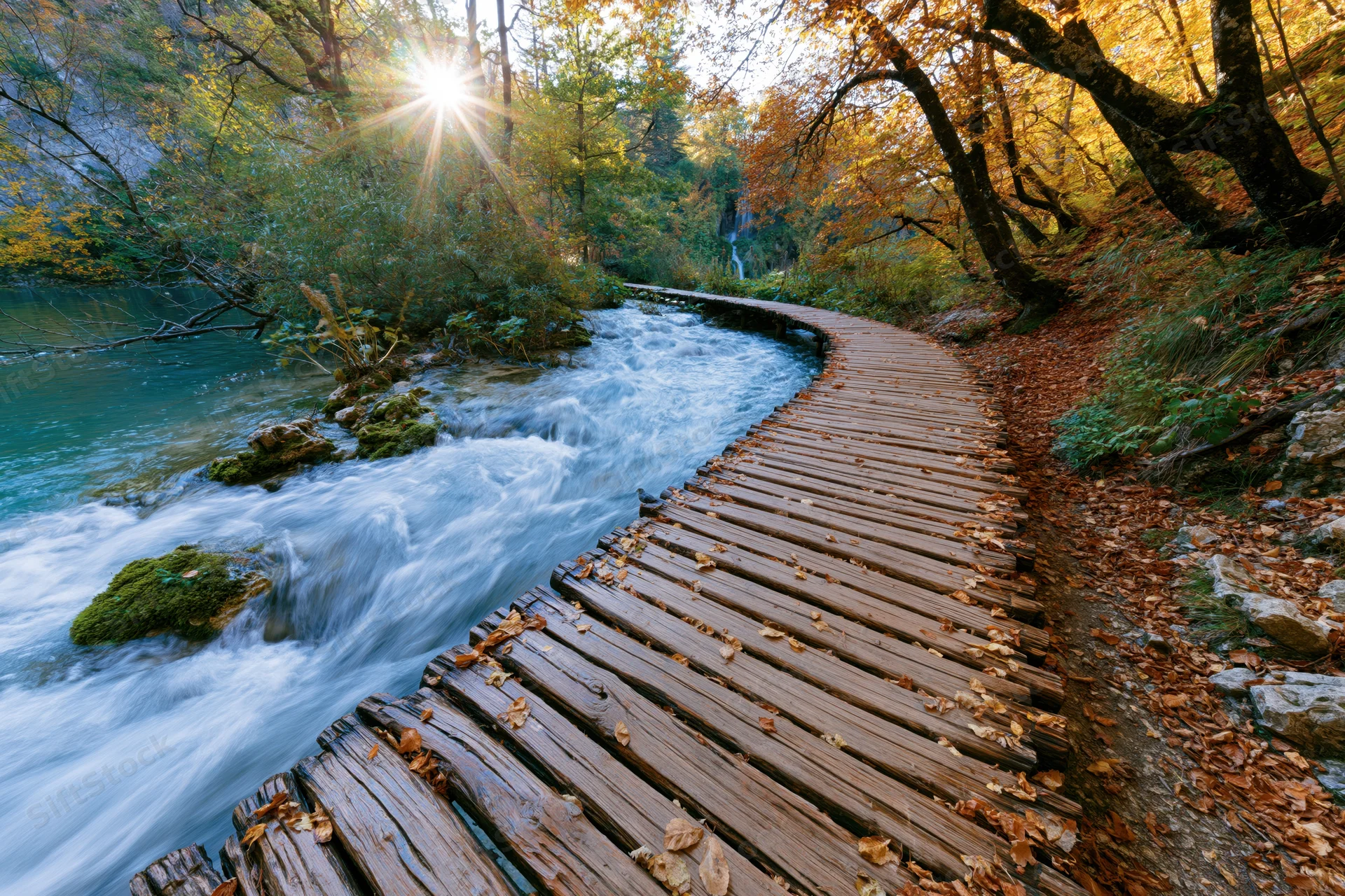 Wooden boardwalk winding alongside a rushing river through autumn forest