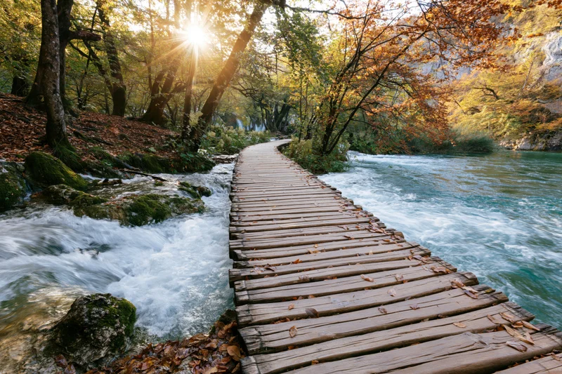 Wooden boardwalk winding alongside rushing river through autumn forest
