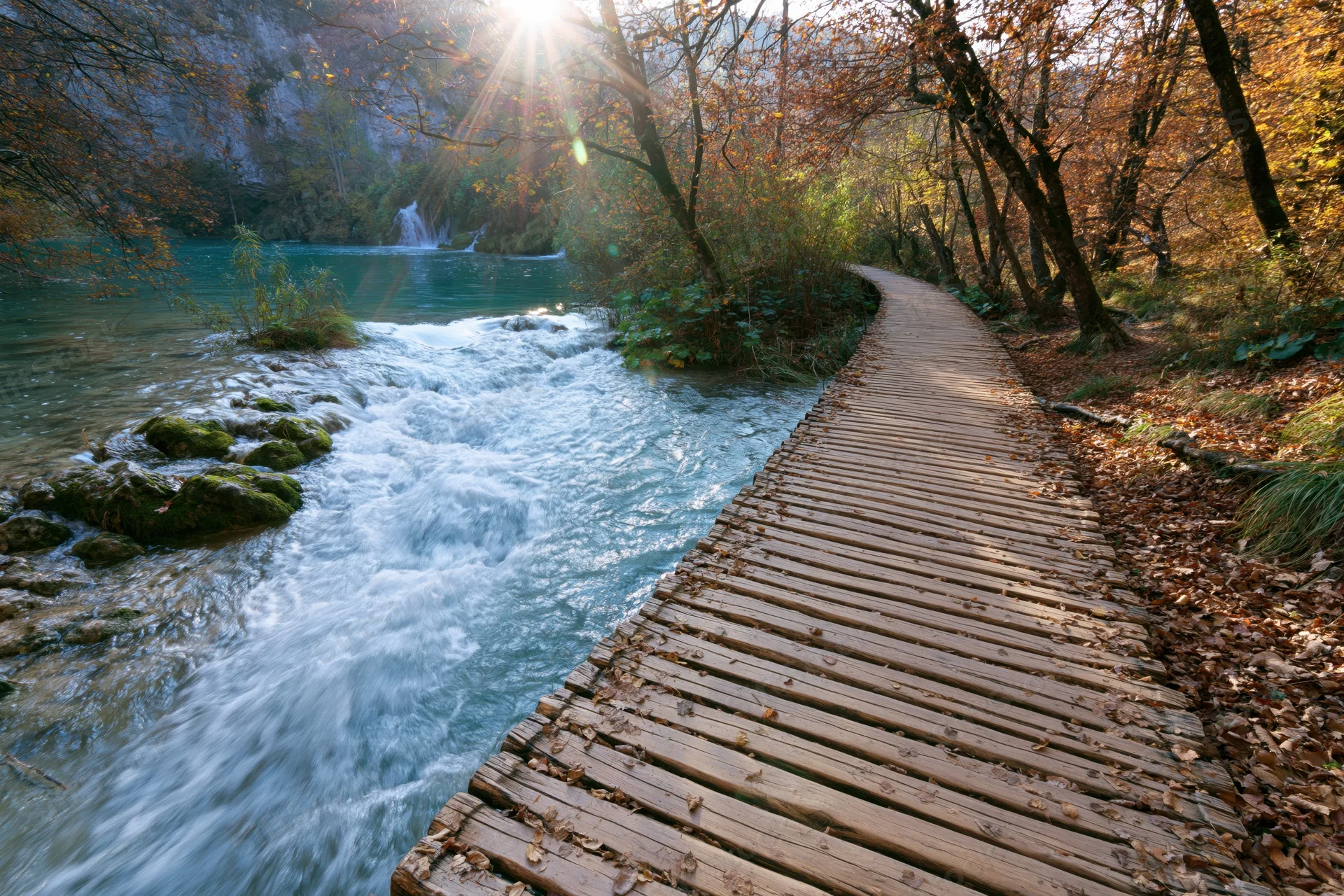 Wooden boardwalk winding alongside rushing turquoise river in autumn forest