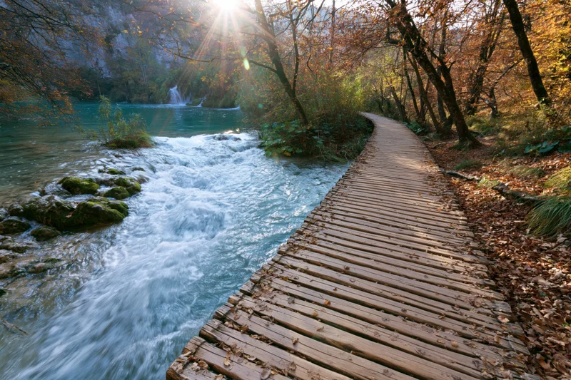 Wooden boardwalk winding alongside rushing turquoise river in autumn forest