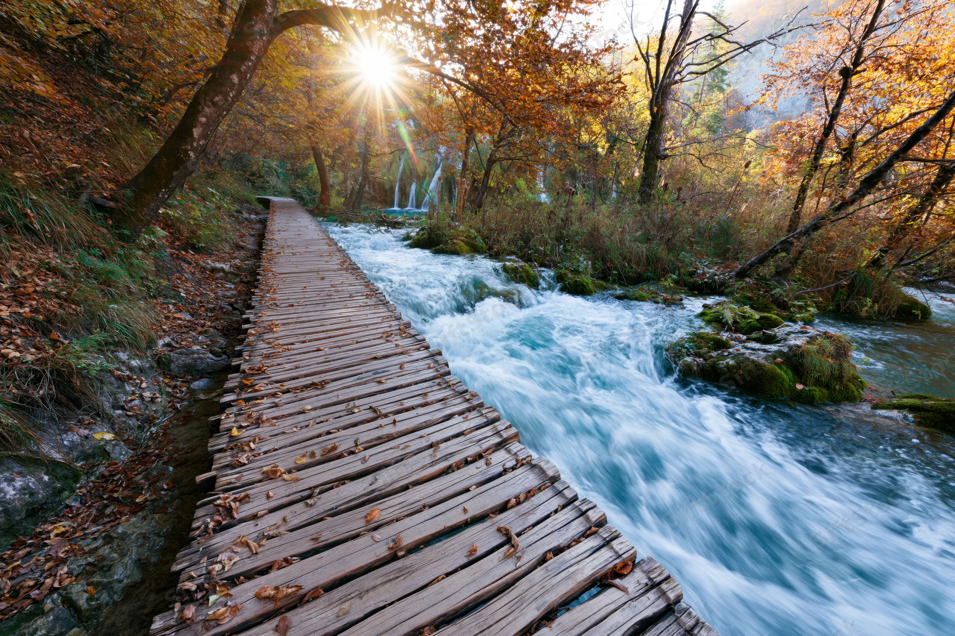 Wooden boardwalk winding alongside rushing river in autumn forest with sunlight filtering through trees