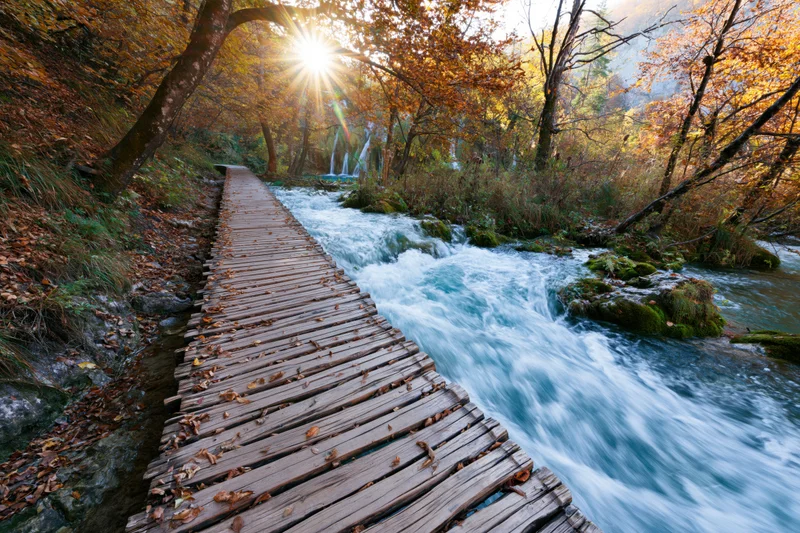 Wooden boardwalk winding alongside rushing river in autumn forest with sunlight filtering through trees