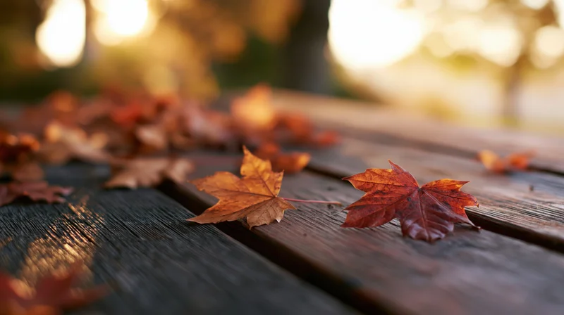 Scattered maple leaves on a weathered wooden outdoor table in autumn sunlight