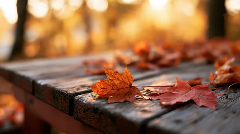 Scattered maple leaves on a weathered wooden outdoor table in autumn light