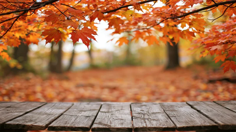 Weathered wooden planks in foreground with autumn maple leaves above and fallen foliage on path behind