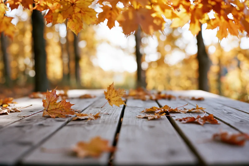 Weathered wooden table with scattered maple leaves in an autumn forest clearing