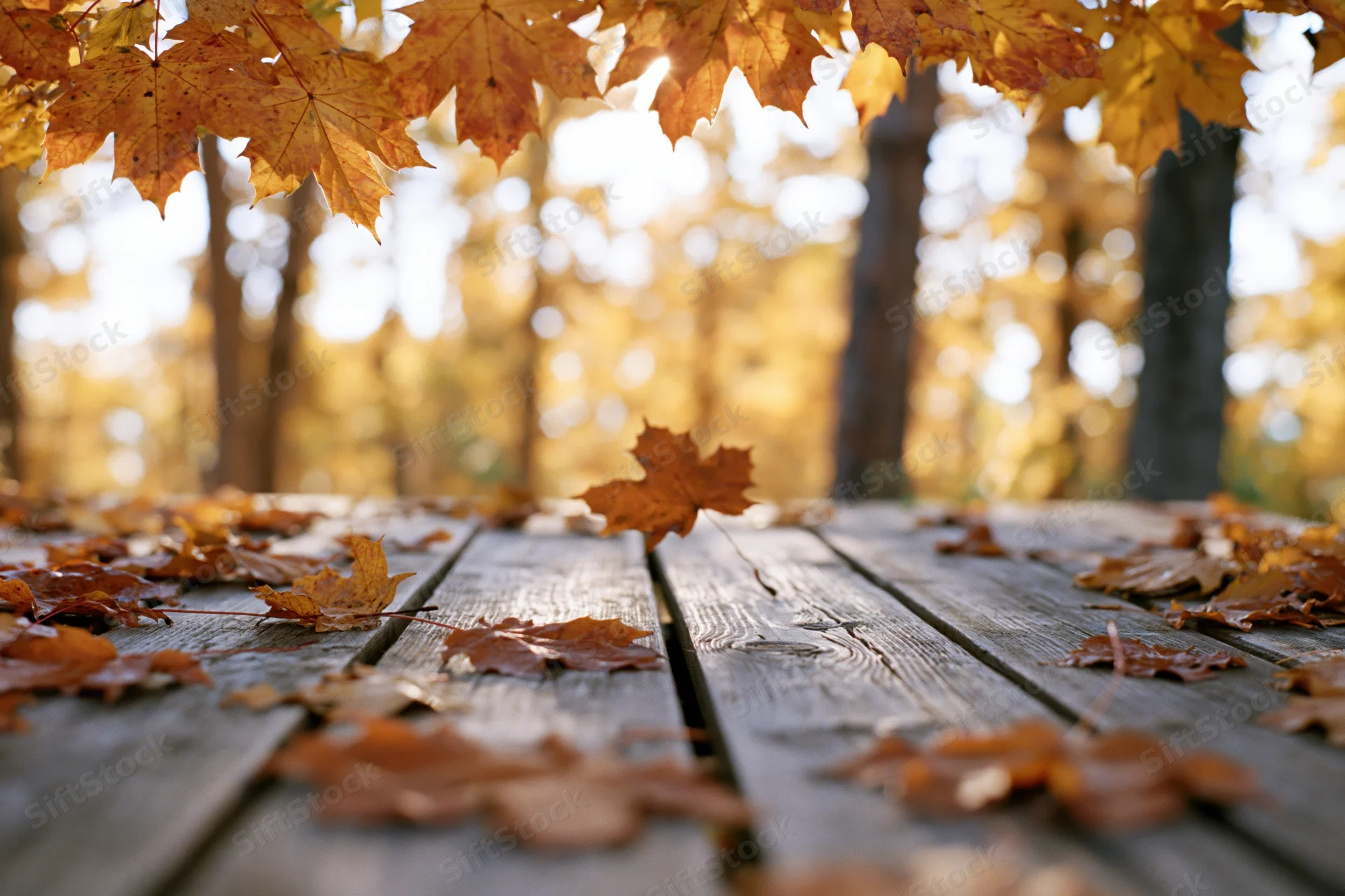Autumn leaves scattered on a weathered wooden table in a forest clearing