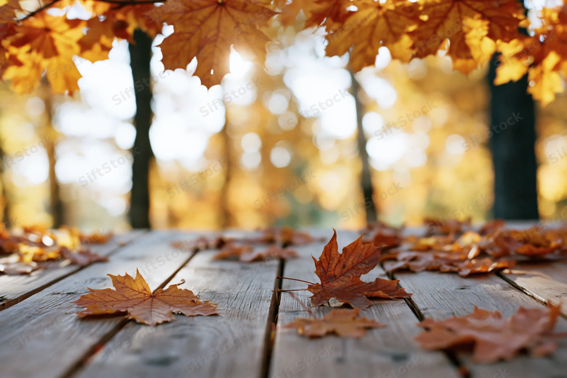 Autumn leaves scattered on a weathered wooden table in a forest clearing with sunlight filtering through trees