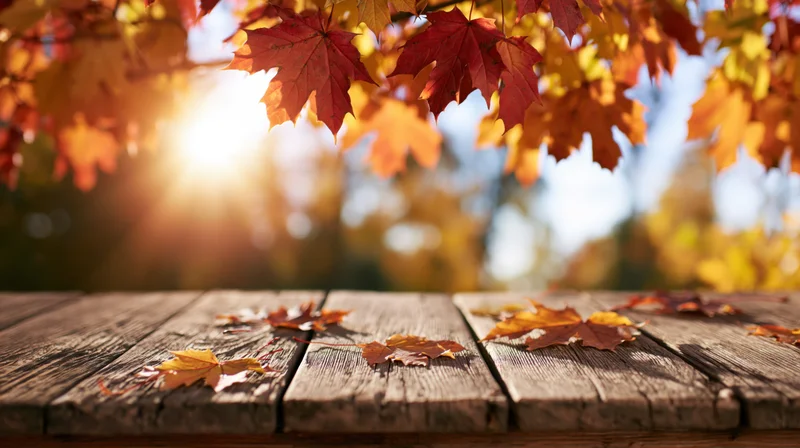 Weathered wooden table with scattered autumn maple leaves under sunlight in a forest setting