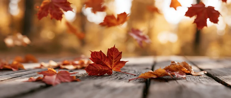 Red maple leaves falling onto a weathered wooden table outdoors in autumn