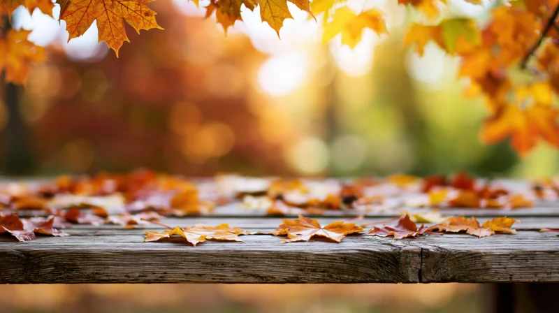Weathered wooden table covered with fallen autumn leaves in a sunlit outdoor setting