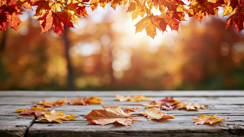 Autumn maple leaves scattered on a weathered wooden table with forest backdrop