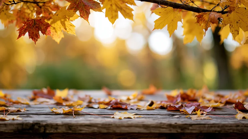 Autumn maple leaves scattered on a weathered wooden table with blurred forest backdrop