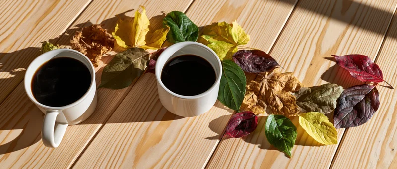 Two white ceramic mugs filled with black coffee arranged with colorful autumn leaves on a light wooden table in sunlight