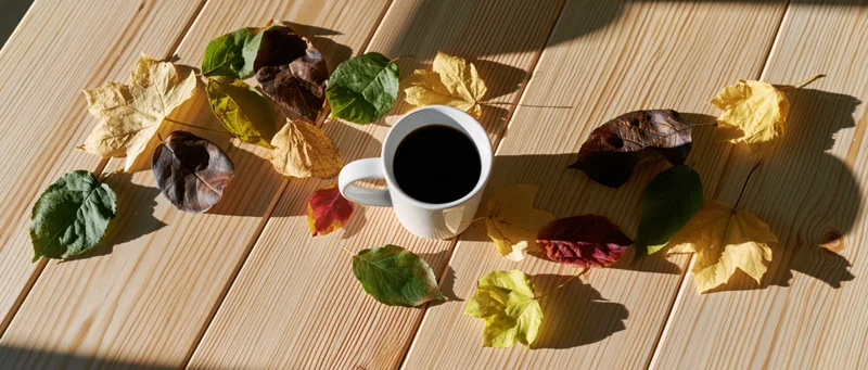 White ceramic mug filled with black coffee on wooden table surrounded by autumn leaves in sunlight