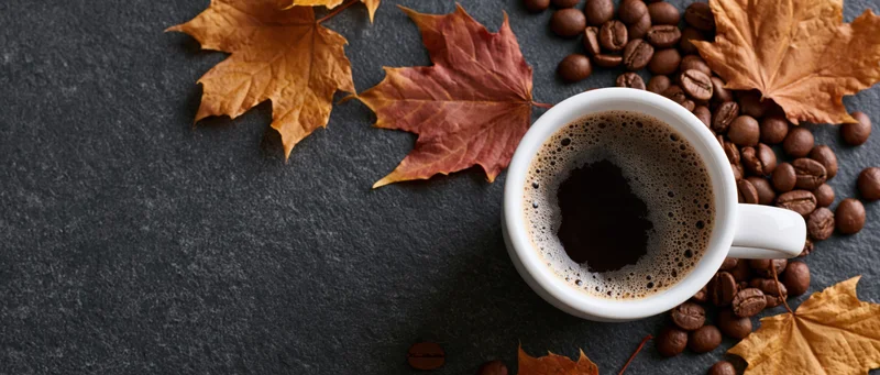 White ceramic mug filled with frothy black coffee surrounded by autumn leaves and coffee beans on dark slate surface