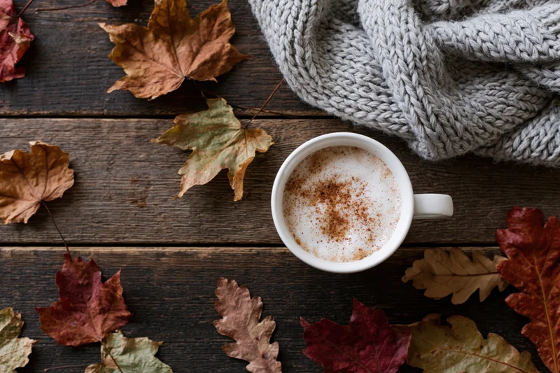 White ceramic mug of frothy cappuccino with cinnamon dusted on wooden table surrounded by autumn leaves and gray knitted scarf