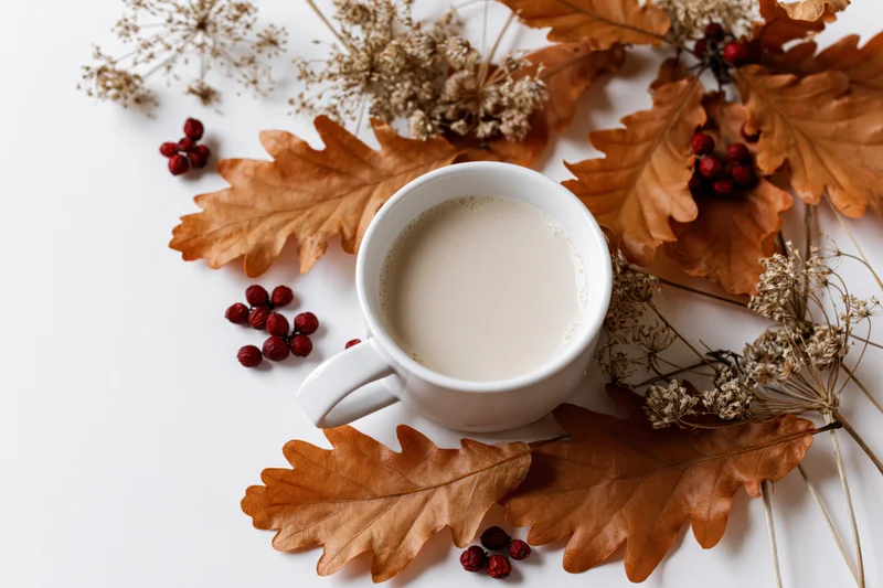 White ceramic mug of milky coffee surrounded by dried autumn leaves and berries on a white surface