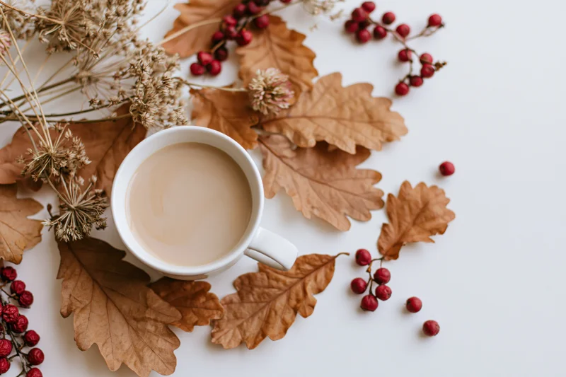 White ceramic mug of milky coffee surrounded by dried autumn leaves and red berries on a white surface