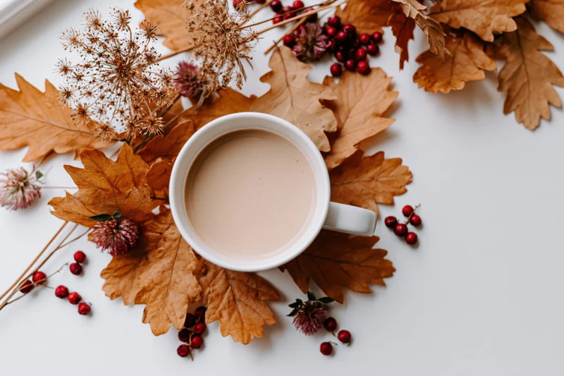 White ceramic mug of milky coffee surrounded by dried autumn leaves and red berries on a white surface