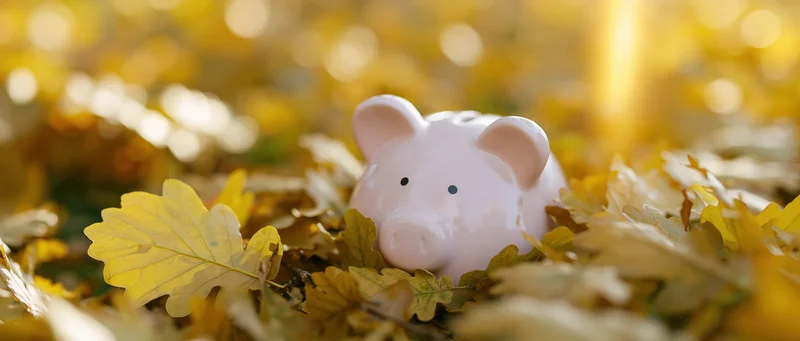 White ceramic piggy bank nestled among fallen autumn leaves in a sunlit outdoor setting