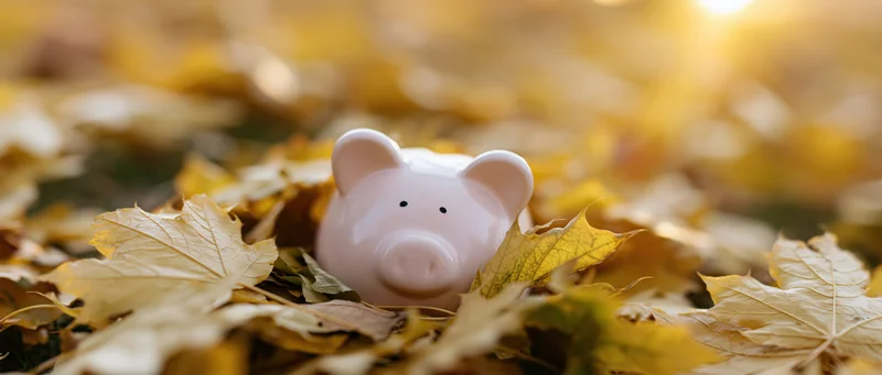 White ceramic piggy bank nestled among fallen autumn maple leaves in golden sunlight
