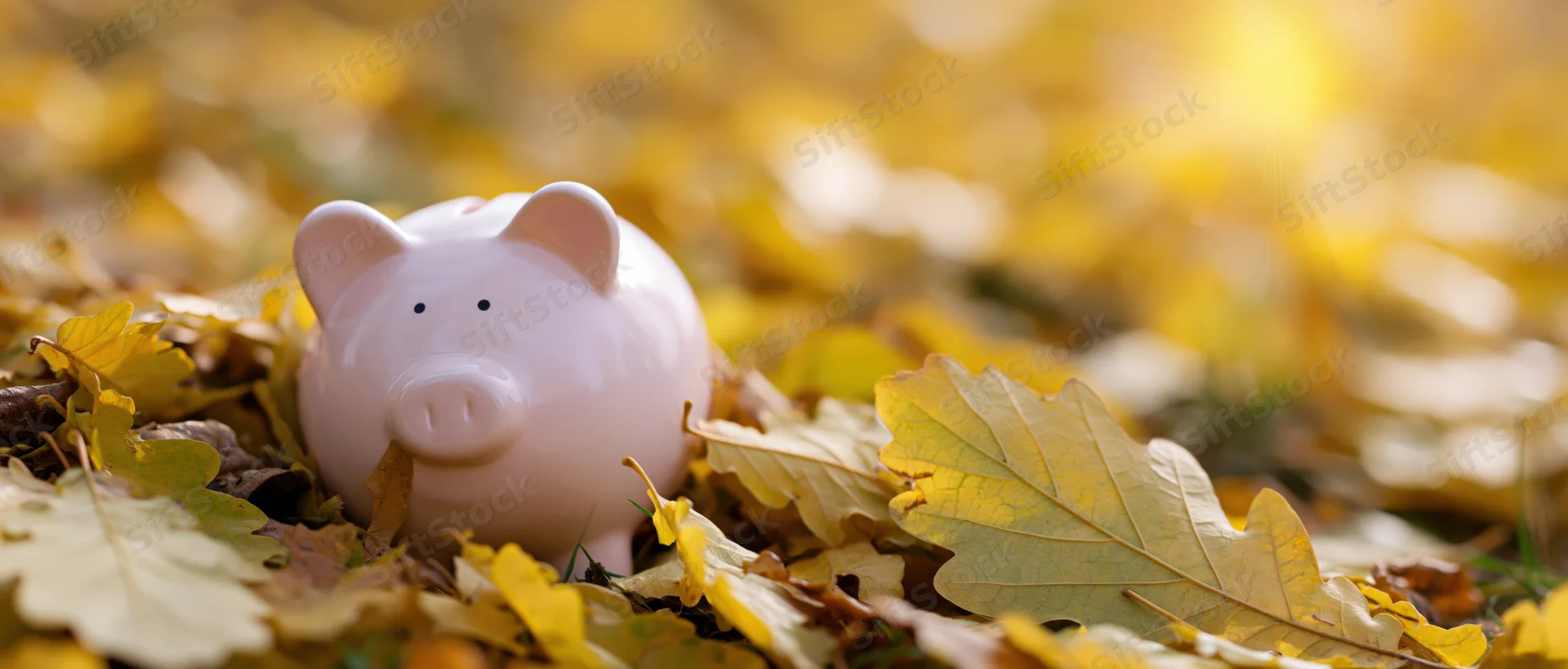 White ceramic piggy bank resting among fallen autumn leaves on the ground