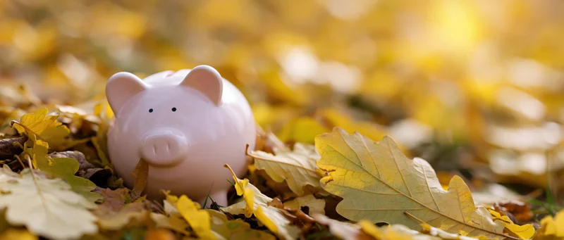 White ceramic piggy bank resting among fallen autumn leaves on the ground