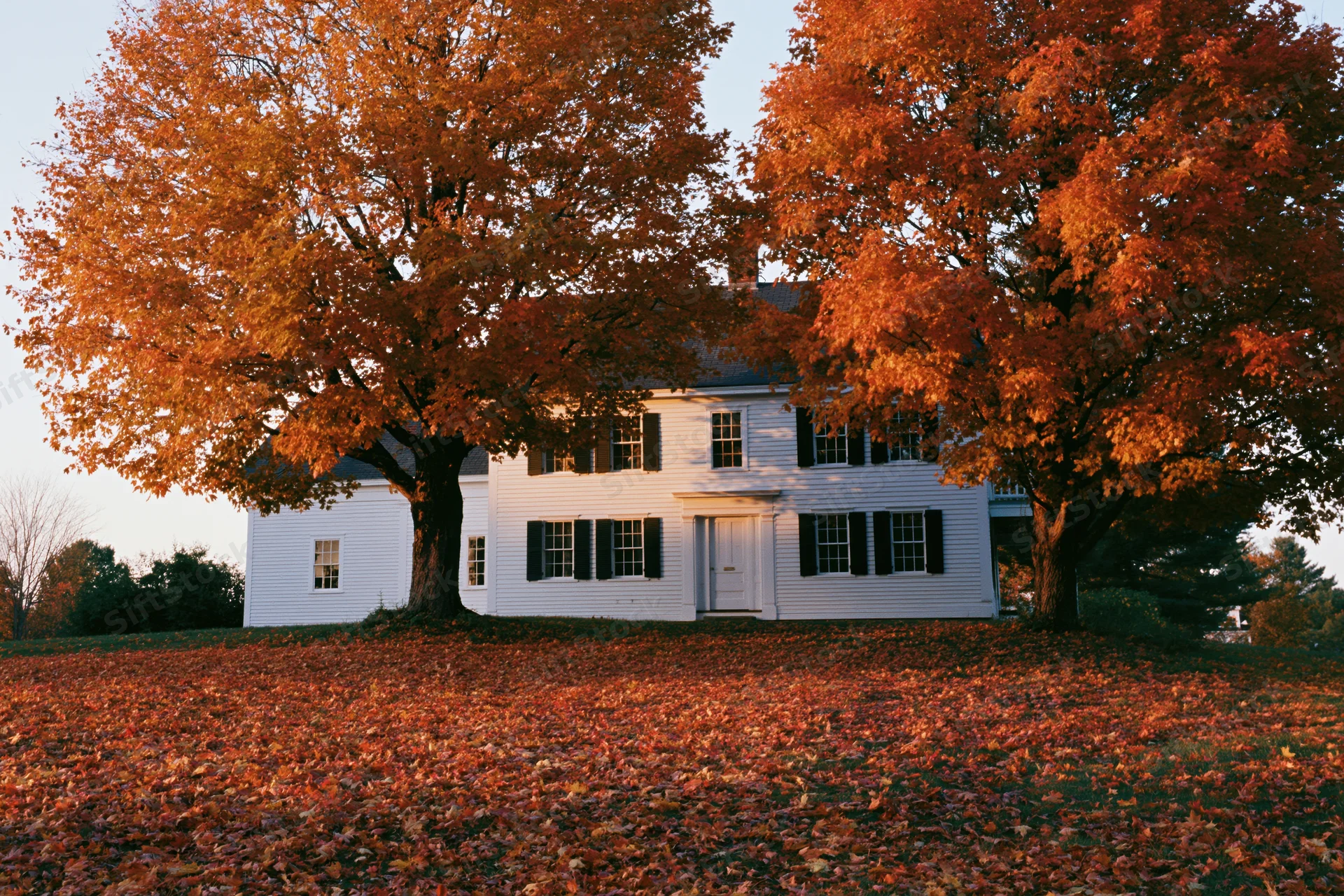 White clapboard farmhouse surrounded by orange autumn trees with fallen leaves covering the yard