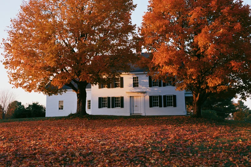 White clapboard farmhouse surrounded by orange autumn trees with fallen leaves covering the yard