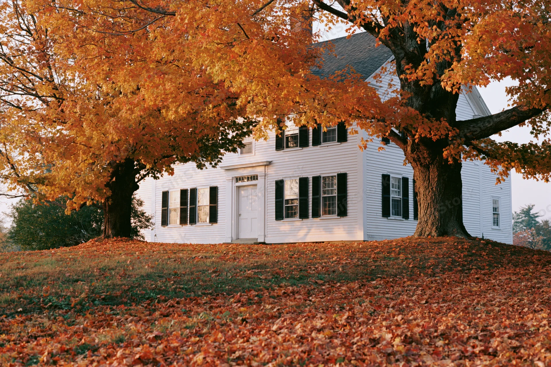 White clapboard farmhouse surrounded by autumn trees with fallen leaves covering the yard