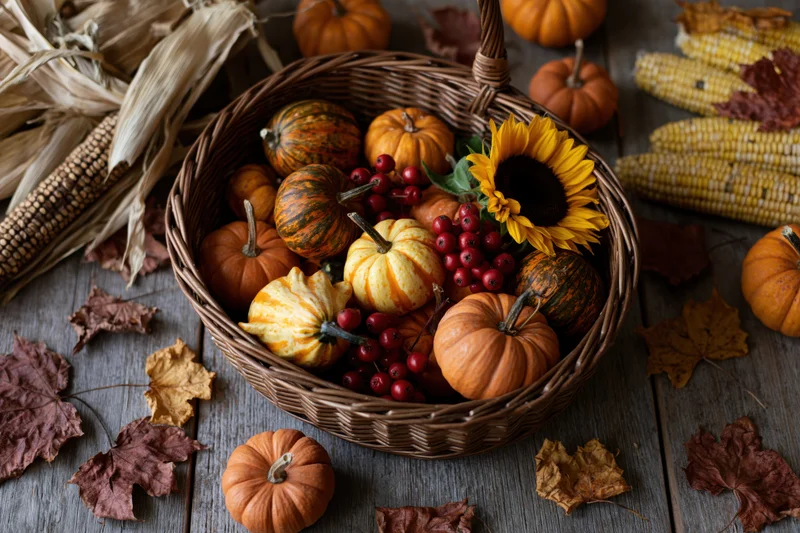 Wicker basket filled with small pumpkins, gourds, berries, and a sunflower on a wooden table surrounded by corn and autumn leaves