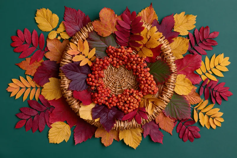 Wicker basket filled with rowan berries and autumn leaves arranged on a green surface