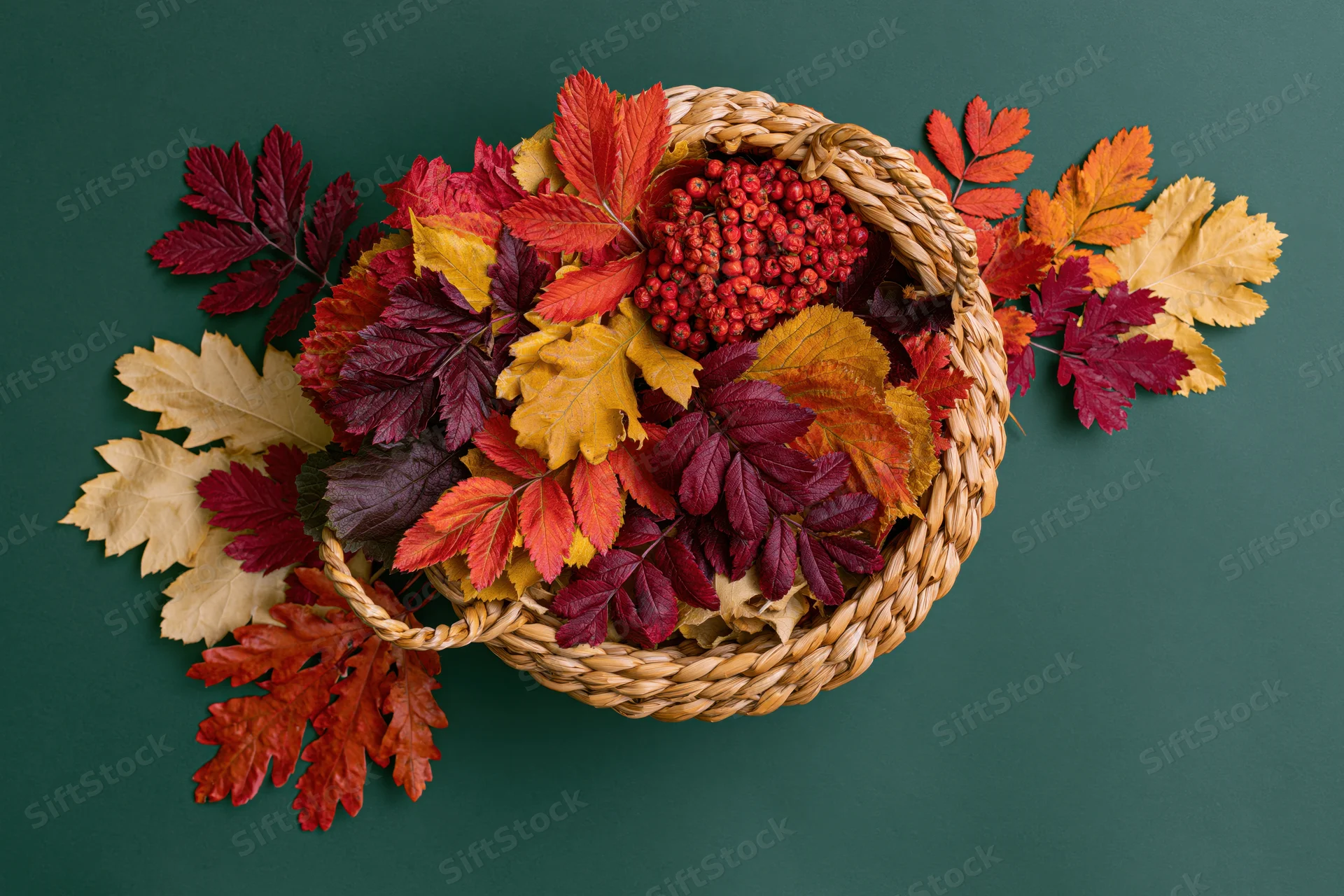 Wicker basket overflowing with autumn leaves and red berries on green background