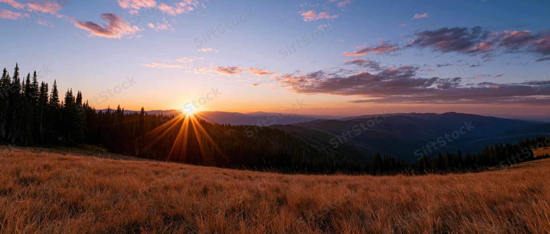 Wide panoramic view of an alpine meadow at sunset with mountains and forest in the distance