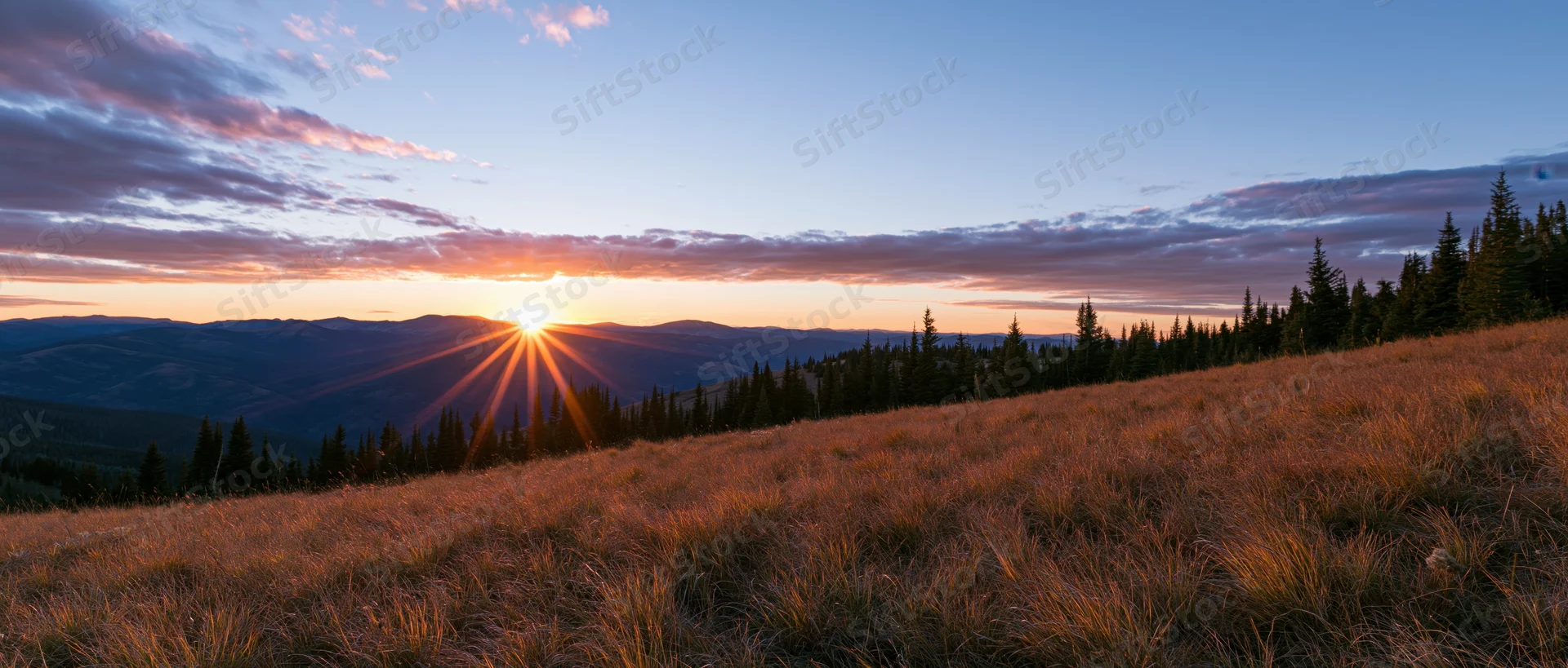 Wide panoramic view of an alpine meadow at sunset with mountains and trees in the distance