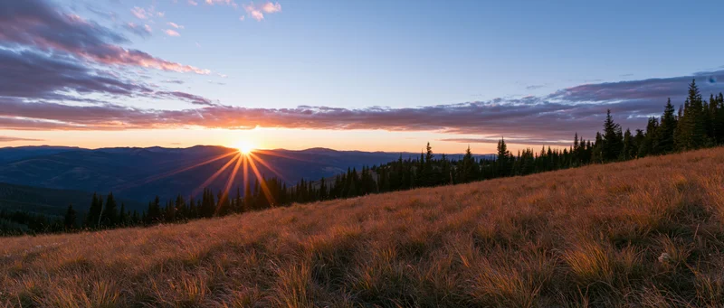 Wide panoramic view of an alpine meadow at sunset with mountains and trees in the distance