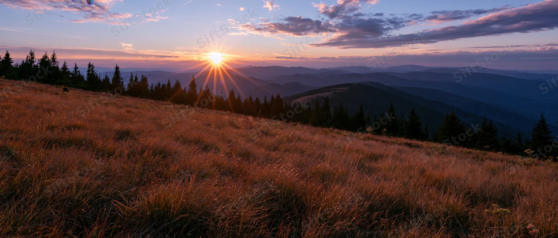 Wide panoramic view of an alpine meadow at sunset with golden grass and distant mountains under a cloudy sky