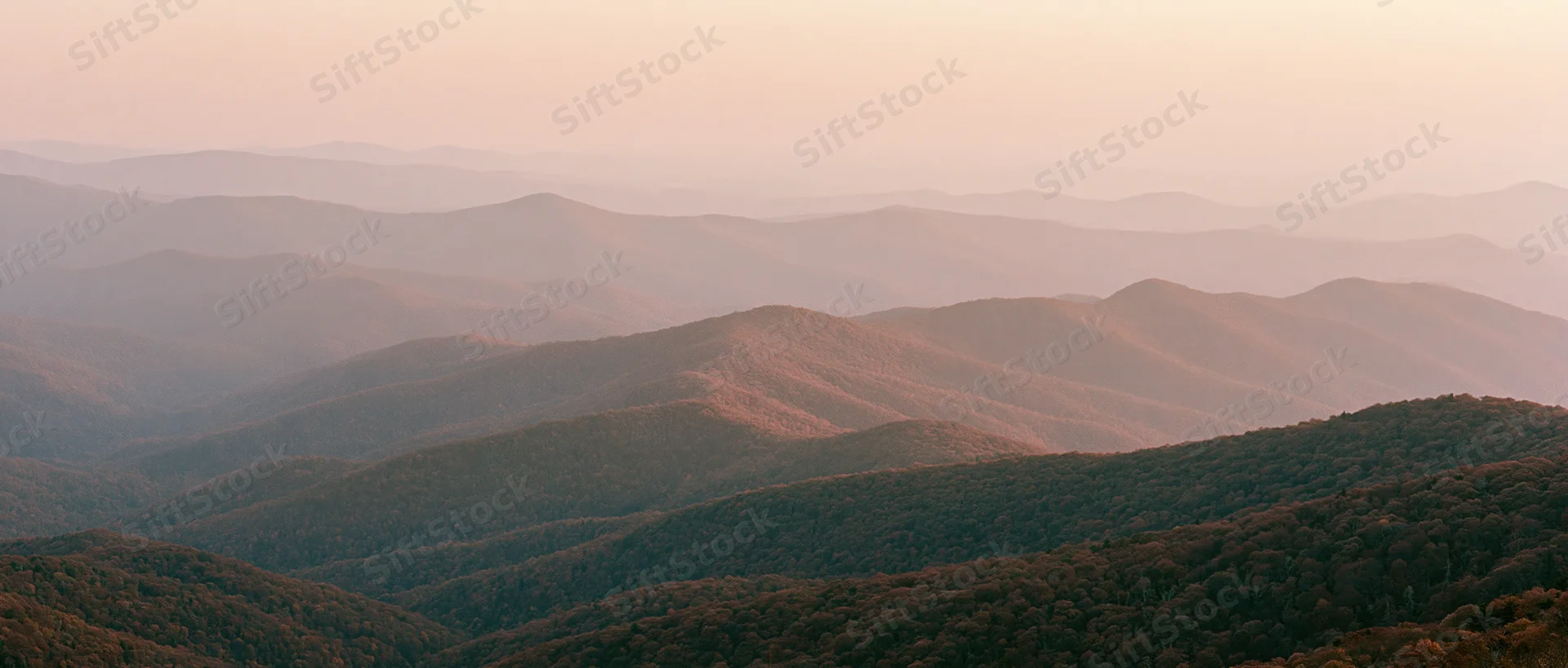Rolling mountain foothills covered in forest under soft sunset light