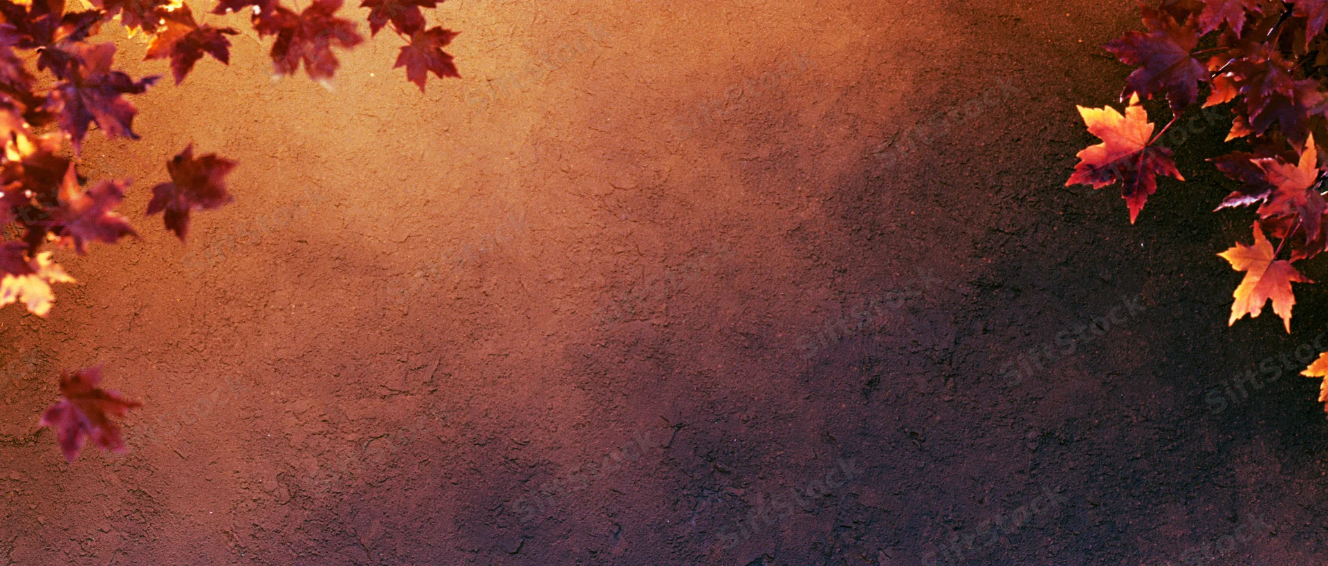 Autumn maple leaves framing a textured wall with warm fall colors and copyspace