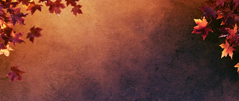 Autumn maple leaves framing a textured wall with warm fall colors and copyspace