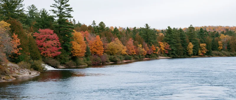 Calm river bordered by colorful autumn trees along the shoreline