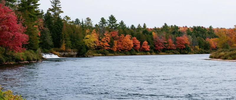 Calm river flowing through autumn forest with colorful foliage along the shoreline