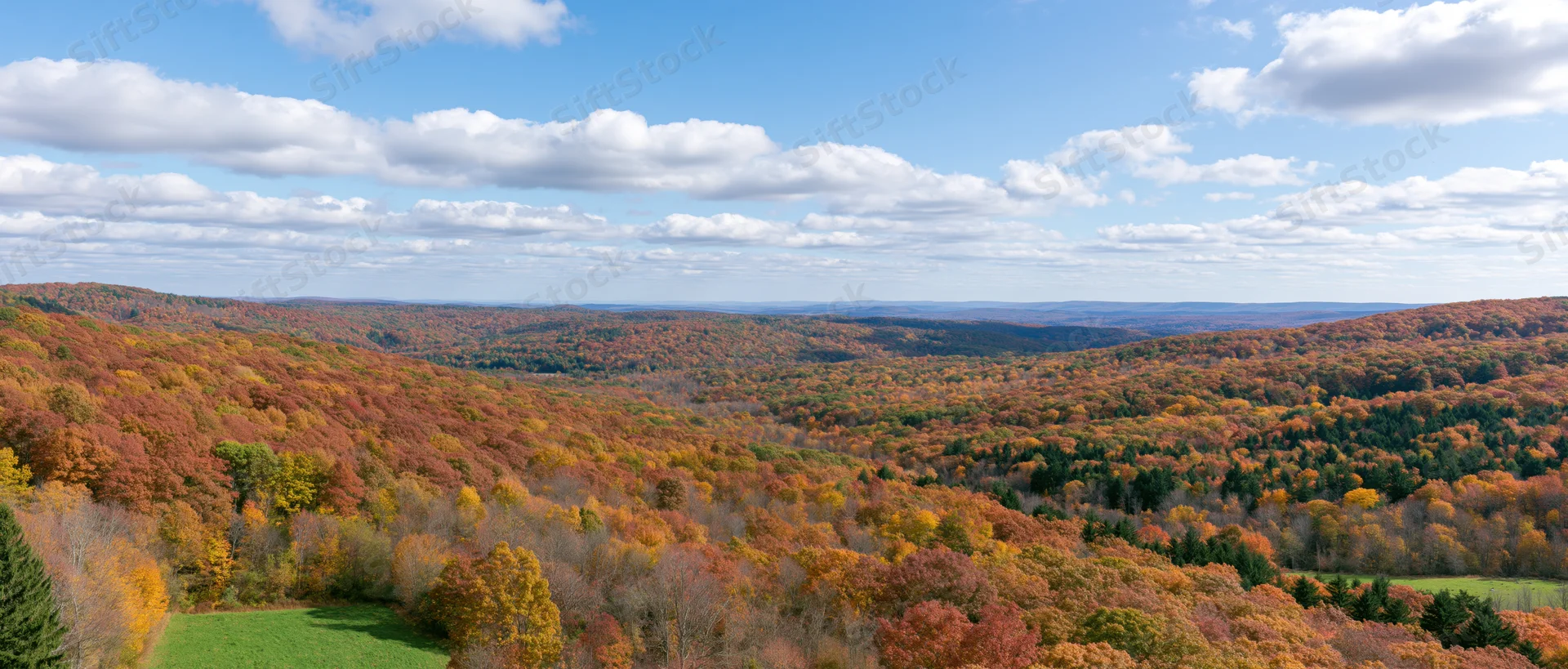 Panoramic view of a mixed deciduous and evergreen forest in autumn with colorful foliage under a blue sky with scattered clouds