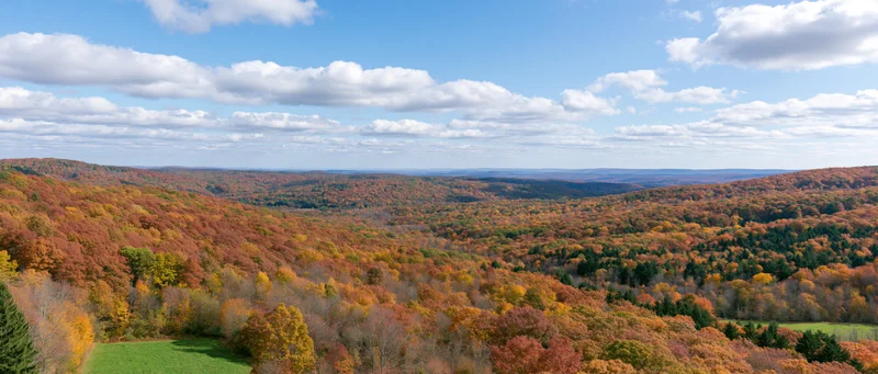 Panoramic view of a mixed deciduous and evergreen forest in autumn with colorful foliage under a blue sky with scattered clouds