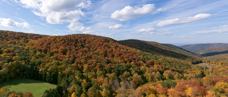 Panoramic view of autumn forest covering rolling hills under a blue sky with scattered clouds
