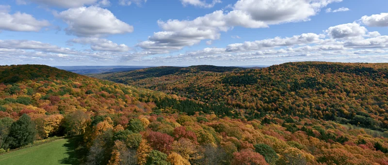 Wide panoramic view of a mixed deciduous and evergreen forest in autumn with colorful foliage covering rolling hills under a blue sky with scattered clouds