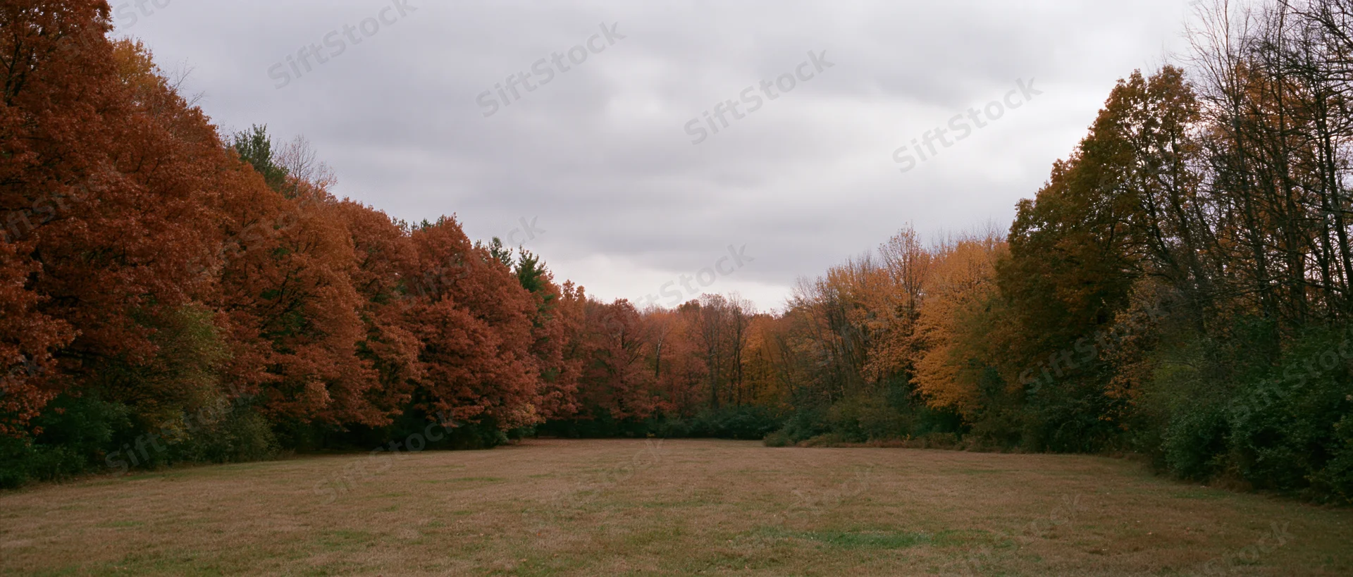 Wide panoramic view of a grass clearing bordered by autumn trees under an overcast sky